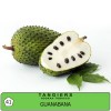 Табак Tangiers Birquq Guanabana (Гуанабана) - 250 грамм